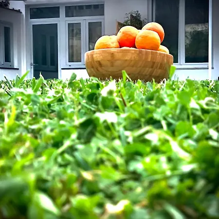 Numero20 Bed & Breakfast Anacapri (Isola di Capri)