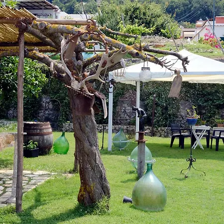 Bed & Breakfast Numero20 4*