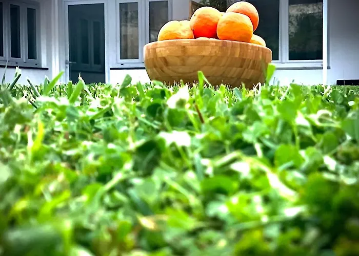 Numero20 Bed & Breakfast Anacapri (Isola di Capri)